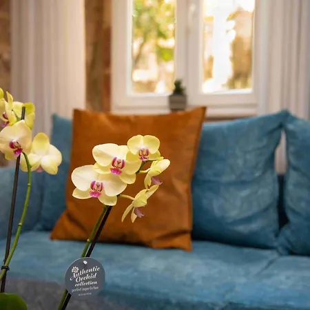 Sopra Mura Luxury Town House בית נופש Corfu (city)