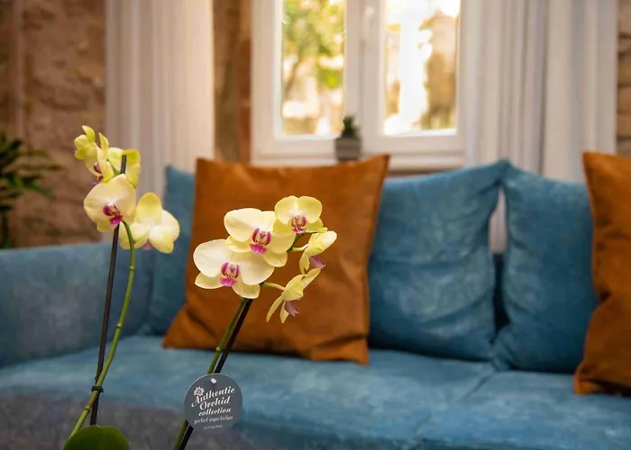 Sopra Mura Luxury Town House Дом отдыха Corfu (city)